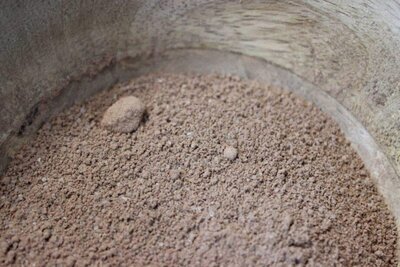 Cacao en poudre – moulu et grillé
