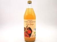 Jus de pomme-gingembre bio