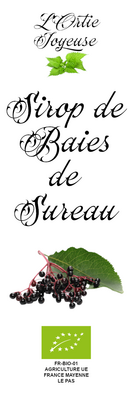 Sirop de baies de sureau