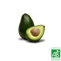 Lot 2 avocats bio