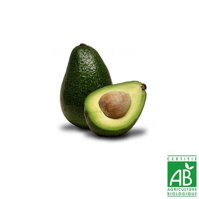 Lot 2 avocats bio