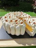 Vacherin exotique 8/10 parts