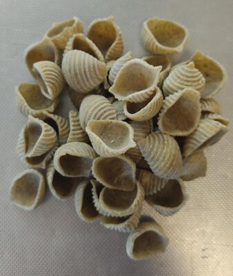 Conchiglie sec bio à l'ail des ours