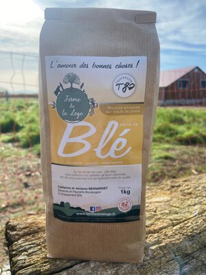 Farine de blé