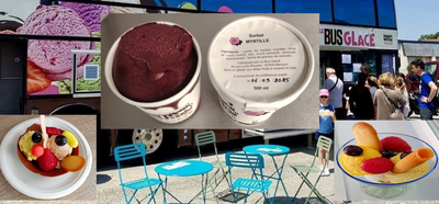 Sorbet plein fruit myrtille