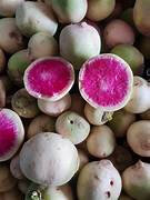 Radis pink meat