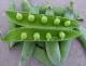 Petits pois - image 2