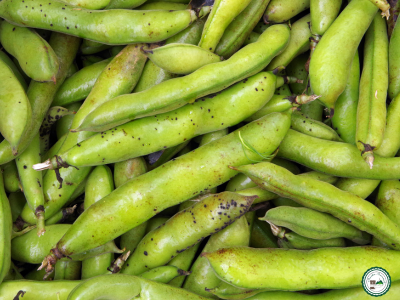 Fève fraiche