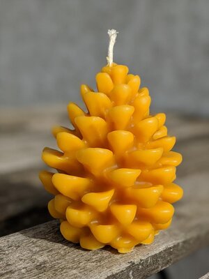 Bougie pomme de pin en cire d'abeille