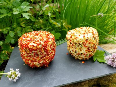 Crottin de brebis bruschetta