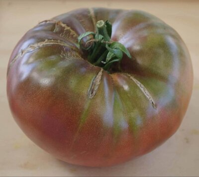 Tomate ananas noire (plant)