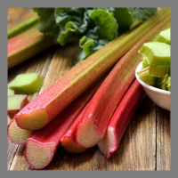 Rhubarbe