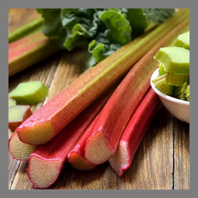 Rhubarbe