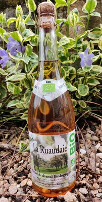 Cidre brut bio breton