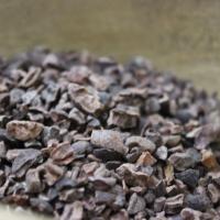 Eclats de cacao criollo (nibs)