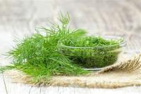 Branche de fenouil 100 gr