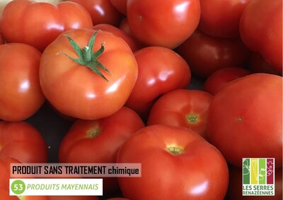 Tomate ronde de pleine terre