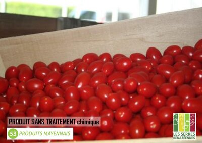Tomate cerise rouge -