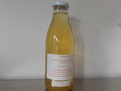 Kombucha agrumes bio