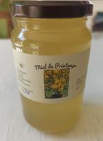 Miel de fleurs printemps
