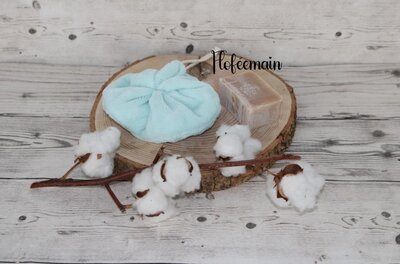 Fleur de douche
