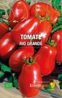 Plant tomate 'rio grande'