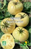 Plant de tomate 'beauté blanche'