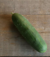 Plant de concombre marketmore