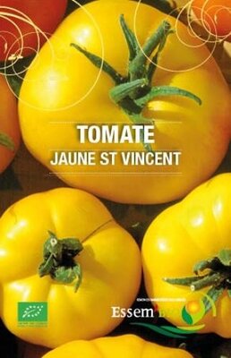 Plant tomate 'st vincent'