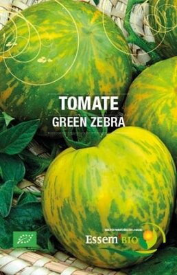 Plant tomate 'green zebra'