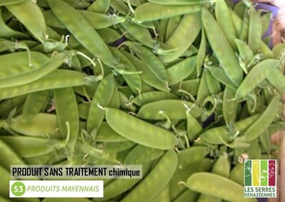 Pois mangetout