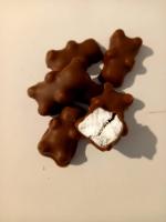 Oursons guimauve chocolat