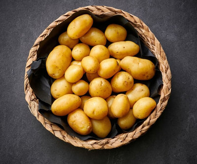 Pomme de terre nouvelle grenaille - 2024