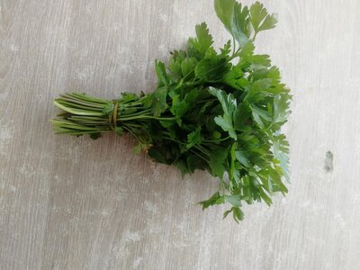 Persil plat