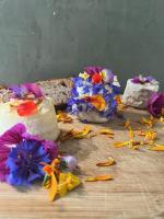 Les comestibles en découverte