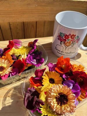 Fleurs comestibles bio 25 pièces