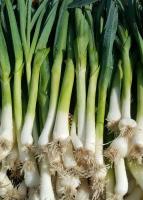 Poireaux