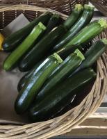 Courgettes de meilhan sur garonne