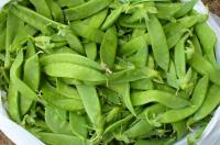 Pois mangetout (gourmands)