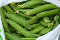 Pois croquants (tout se mange)