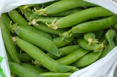 Pois croquants (tout se mange)