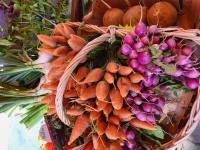 Navets nouveaux sucrés