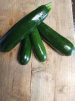 Courgette verte primeur