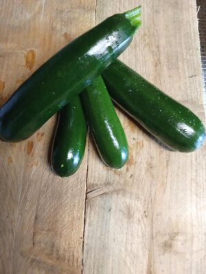 Courgette verte