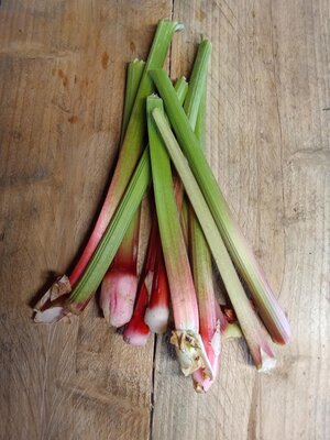 Rhubarbe