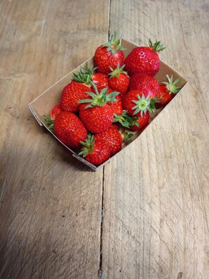 Fraise