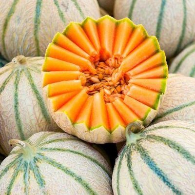 Melon charentais bio