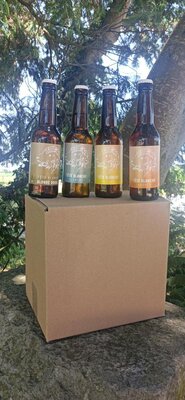 Carton découverte 12 bières 33 cl