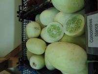 Concombre blanc