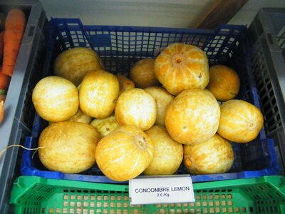 Concombre lemon
